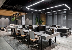 企業(yè)風采